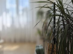 Drumul Taberei metrou Favorit Apartament 3 camere renovat complet