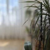 Drumul Taberei metrou Favorit Apartament 3 camere renovat complet